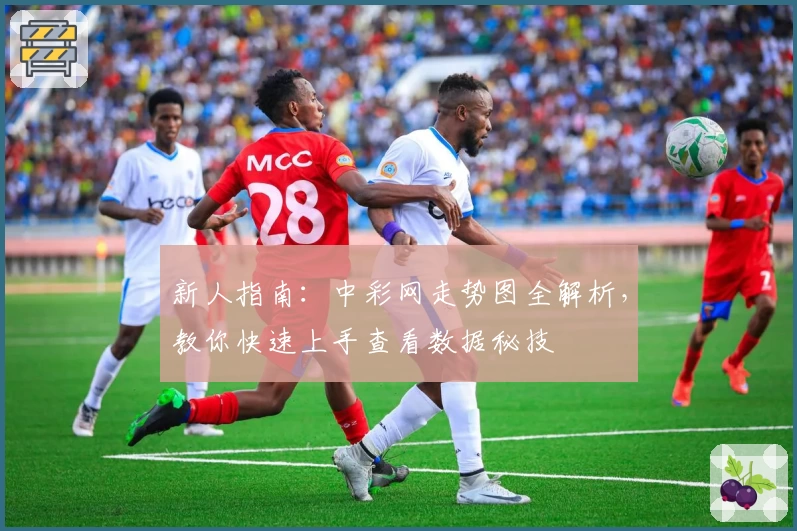 新人指南：中彩网走势图全解析，教你快速上手查看数据秘技