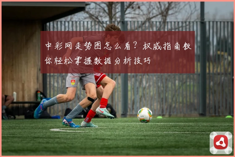 中彩网走势图怎么看？权威指南教你轻松掌握数据分析技巧