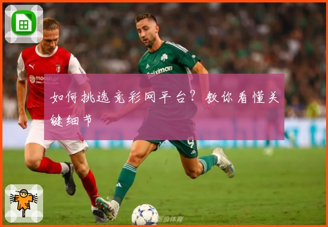 如何挑选竞彩网平台？教你看懂关键细节