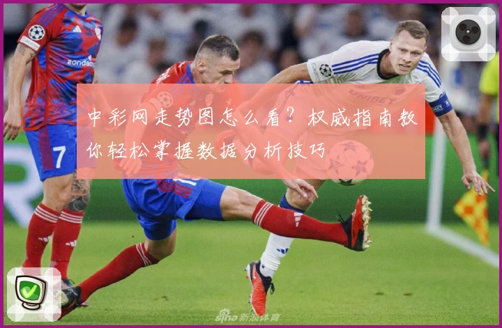 中彩网走势图怎么看?权威指南教你轻松掌握数据分析技巧