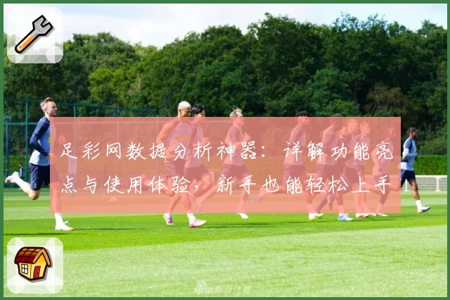足彩网数据分析神器：详解功能亮点与使用体验，新手也能轻松上手