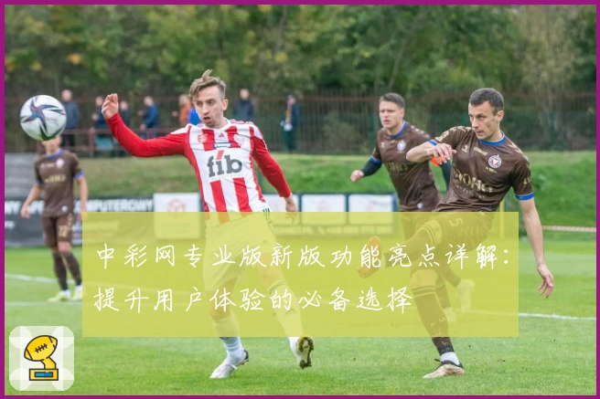 中彩网专业版新版功能亮点详解：提升用户体验的必备选择