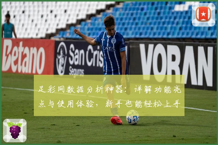 足彩网数据分析神器:详解功能亮点与使用体验,新手也能轻松上手
